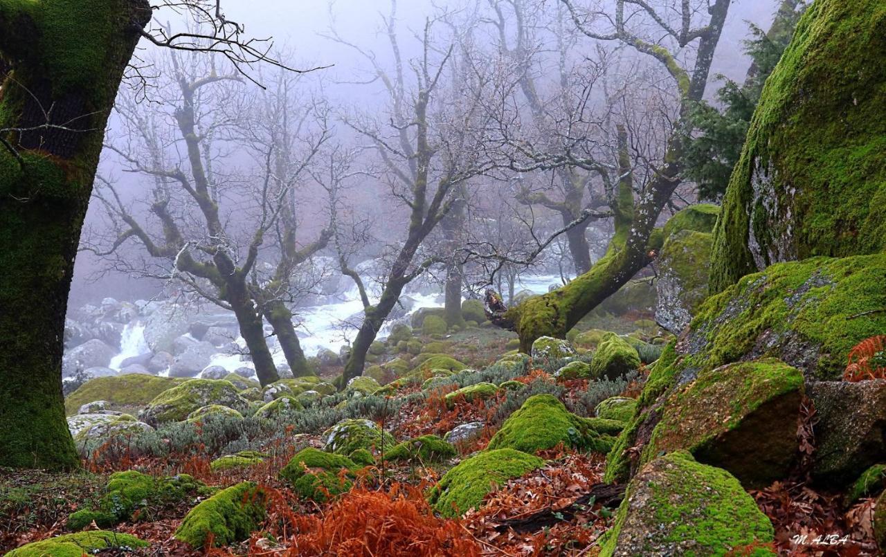 Villa Tinao De Gredos Barajas de Gredos Exterior foto